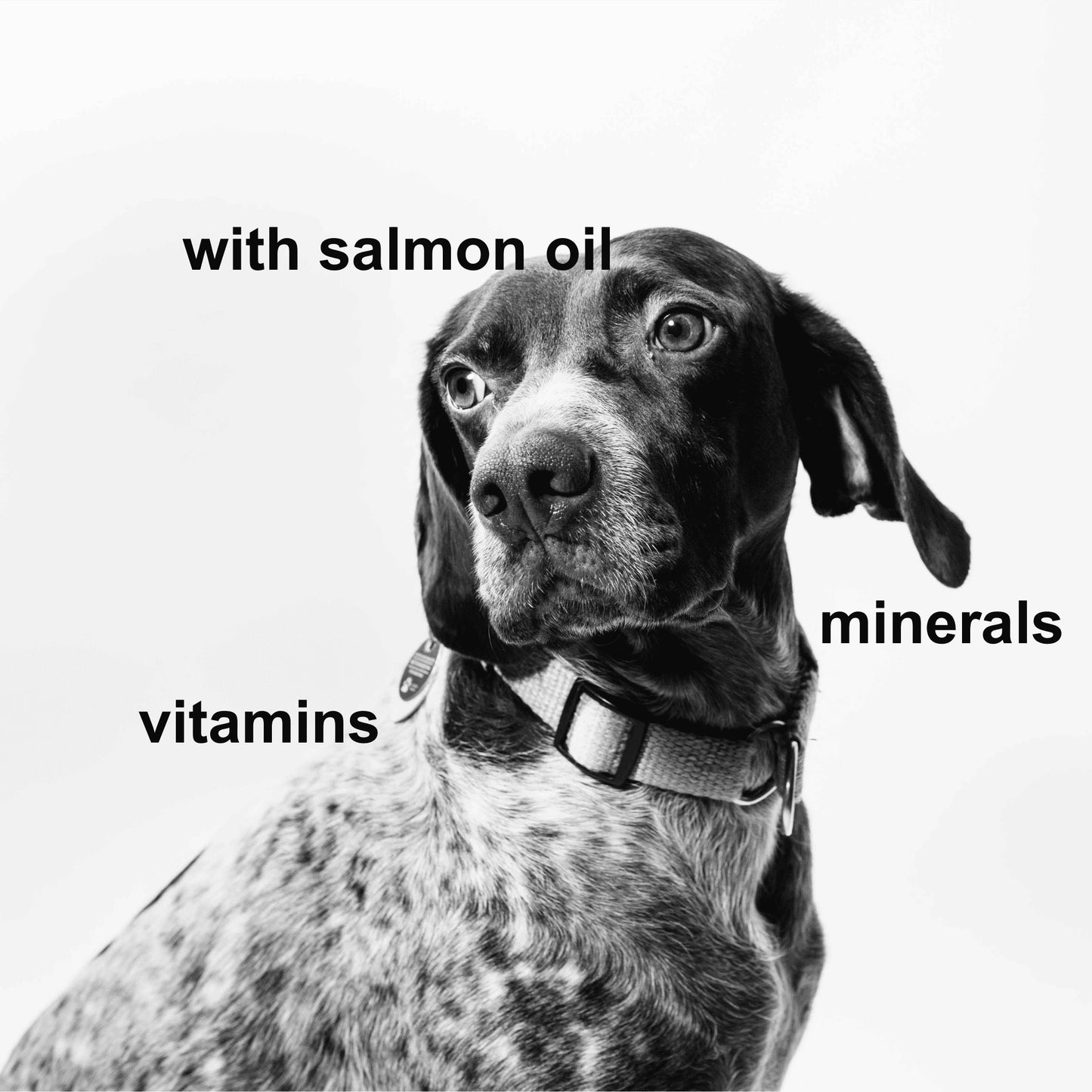 The longevity formula