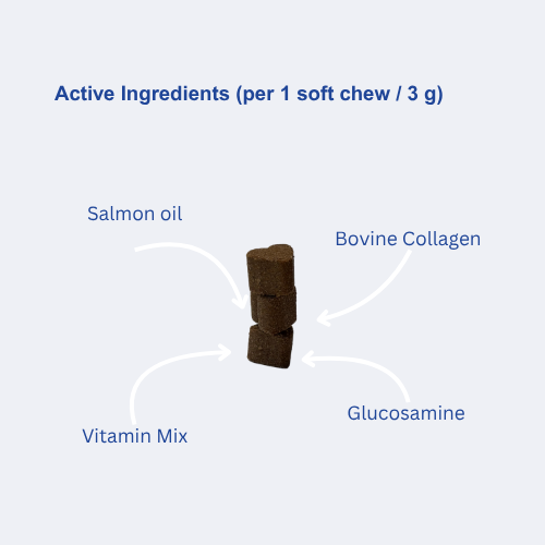 Multivitamins dog supplement