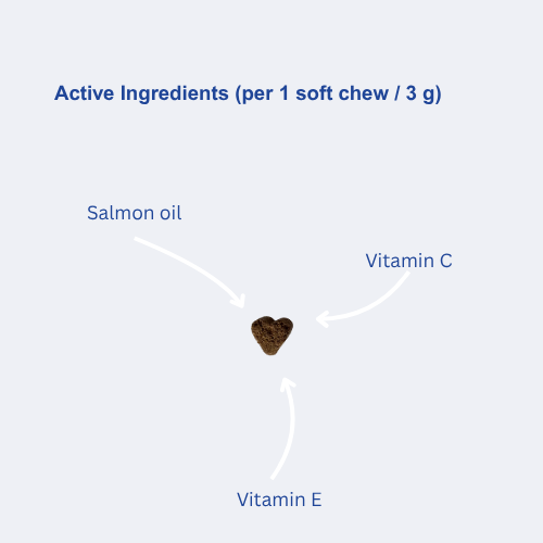 Skin & Coat dog supplement