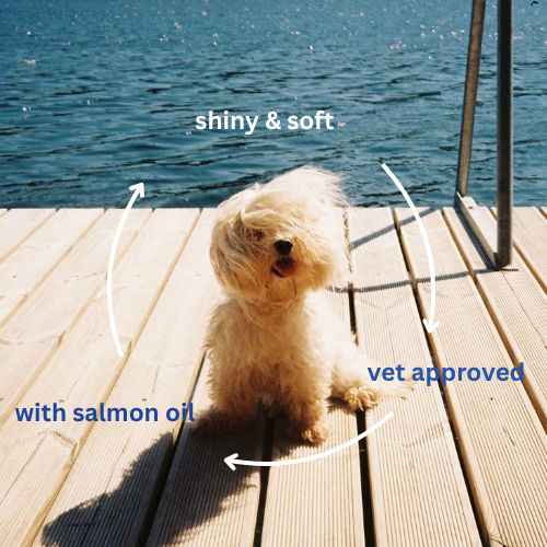 Skin & Coat dog supplement