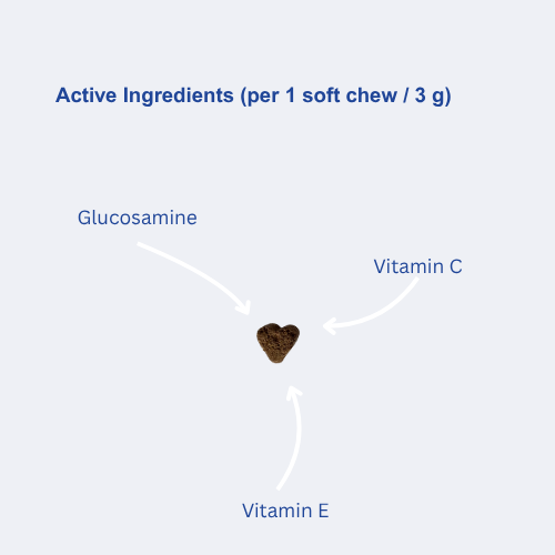 Joint & Bone dog supplement