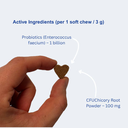 Probiotics dog supplement